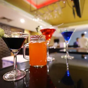 Airport Ramhan Palace Mahipalpur Neu-Delhi